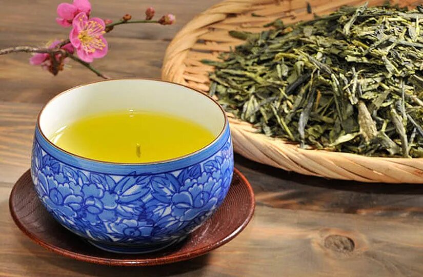 Купить японский чай. Японский зеленый чай Сенча. Сенча Кюсю церемония чая. Гёкуро чай. Сенча церемония чая.