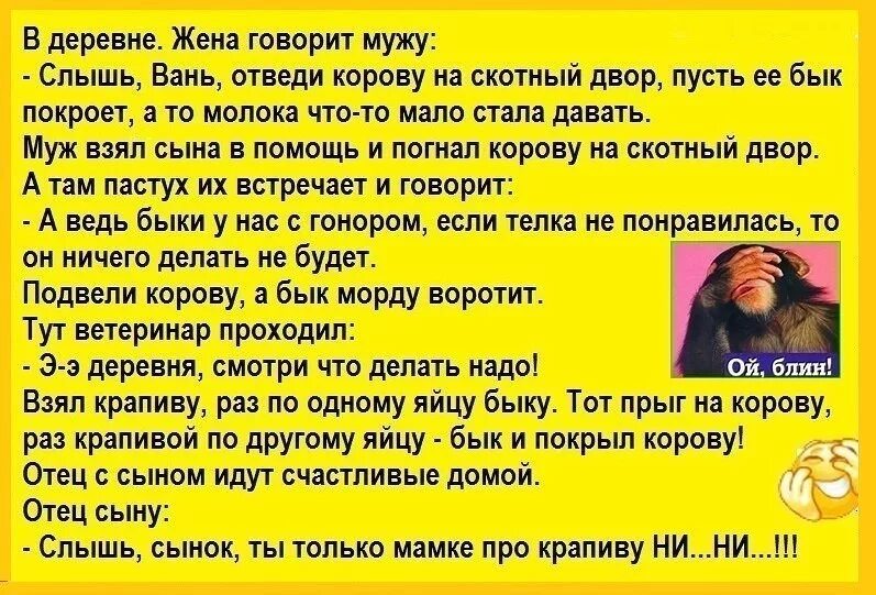 Если жена не даёт мужу. Жена не даёт мужу прикол. Анекдоты про крапиву. Муж не слышит жену.