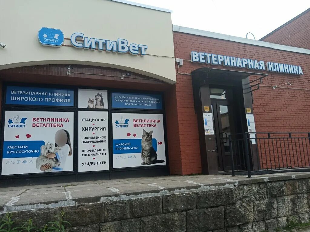 Ситивет. Ситивет ветеринарная клиника. ситивет санкт-петербург. вет клиника парнас ситивет. ситивет ветеринарная клиника спб пражская.