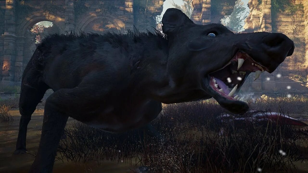 Волк ликаон assassins creed odyssey. Ассасин крид вальхалла карта легендарных животных. Ассасин вальхалла волк питомец. Легендарные животные вальгалла. Звери assassins creed.