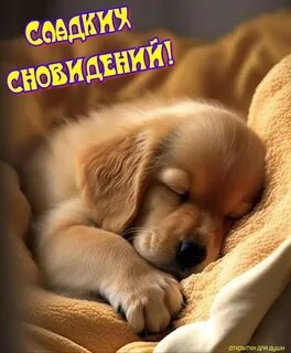 Спокойно 20