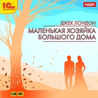 Маленький большой аудиокнига