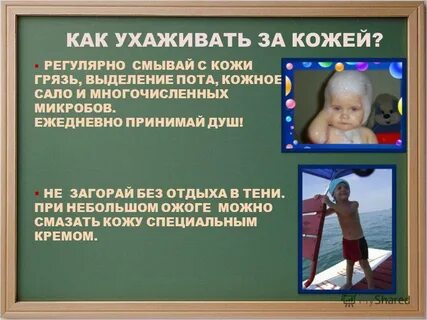 Ежедневно принимаю