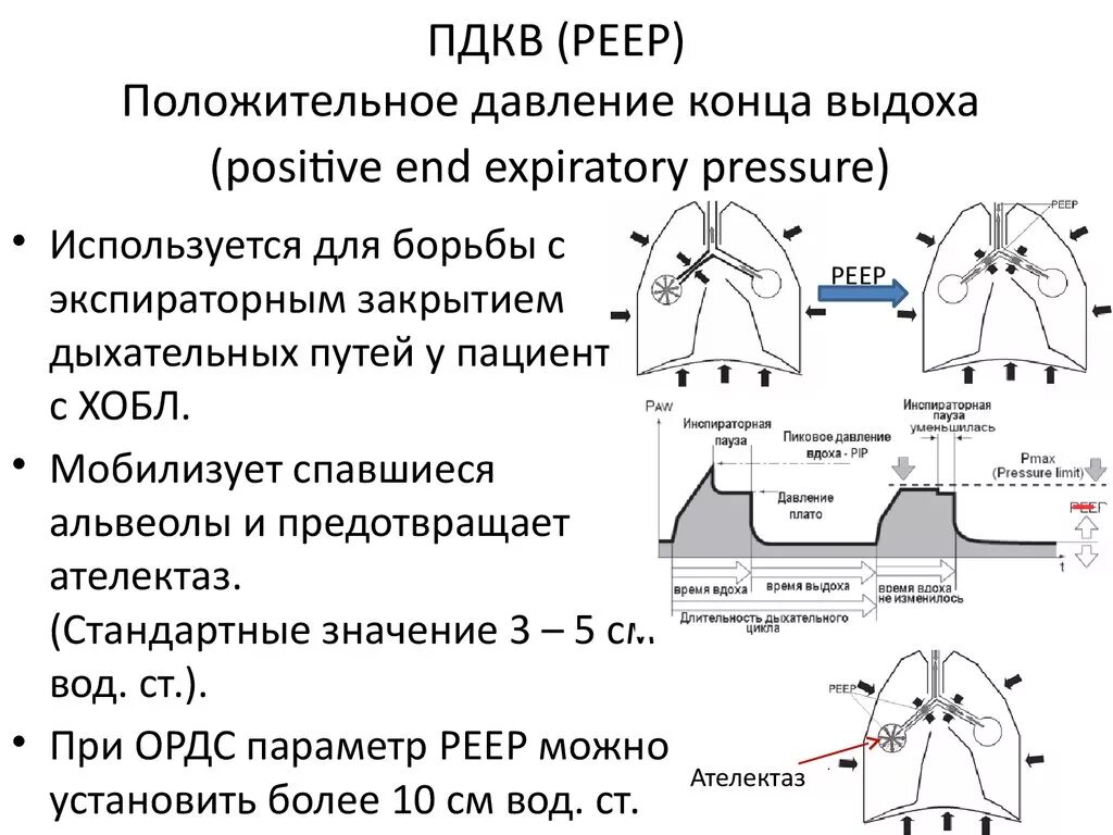 Давление в легких увеличивается при вдохе. Положительное давление в конце выдоха. Клапан положительного давления в конце выдоха. При вентиляции с положительным давлением в конце выдоха. Давление в дыхательных путях в конце выдоха.