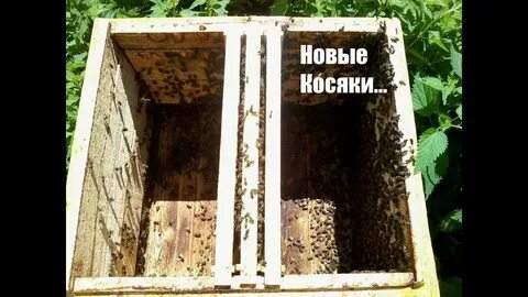 Коды пчелиного роя