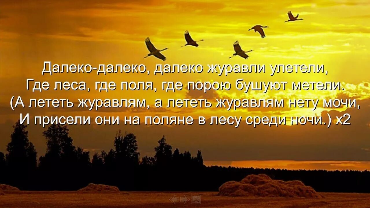 Бушуют метели журавли улетели. Далеко Журавли. Далеко-далеко Журавли улетели. Далеко далеко далеко далеко далеко Журавли улетели. Далеко далеко Журавли улетели слова.