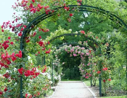 Le jardin des larmes