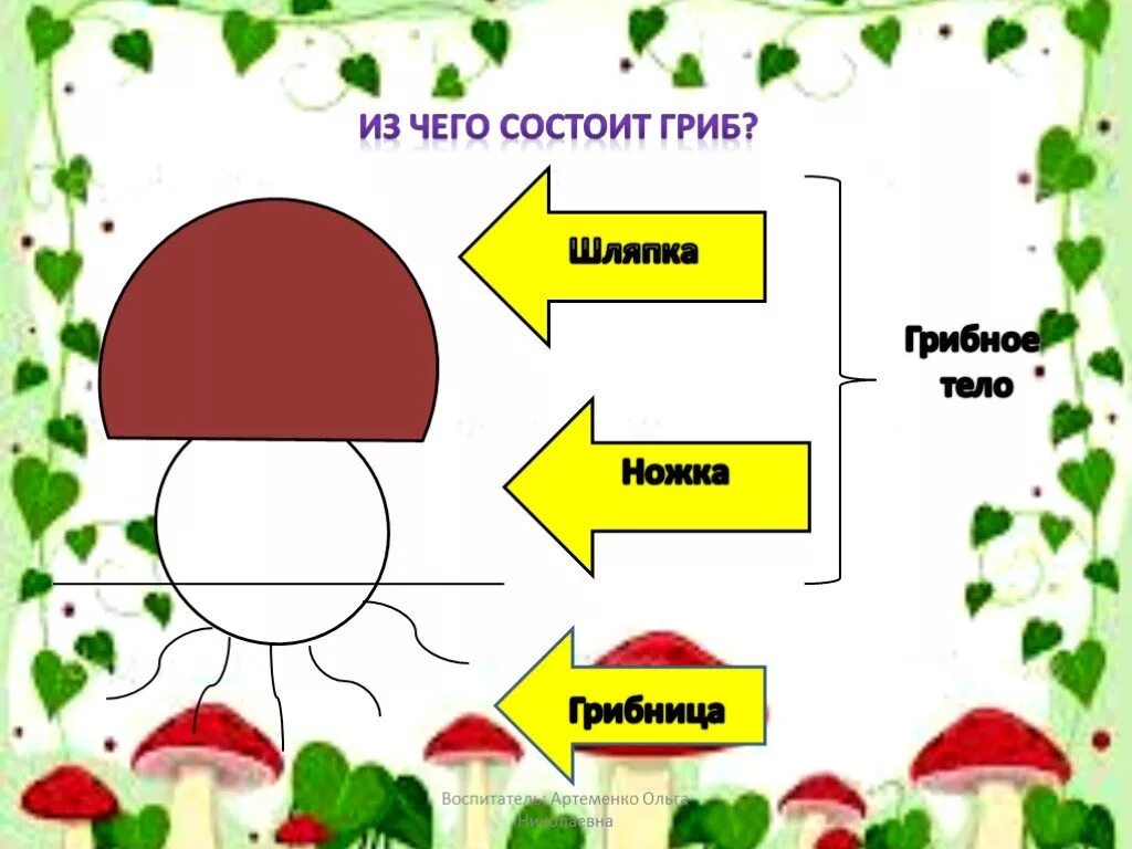 Собери слова грибы. Грибы для детей. Схема гриба. Схема описания гриба для дошкольников. Грибы задания для дошкольников.