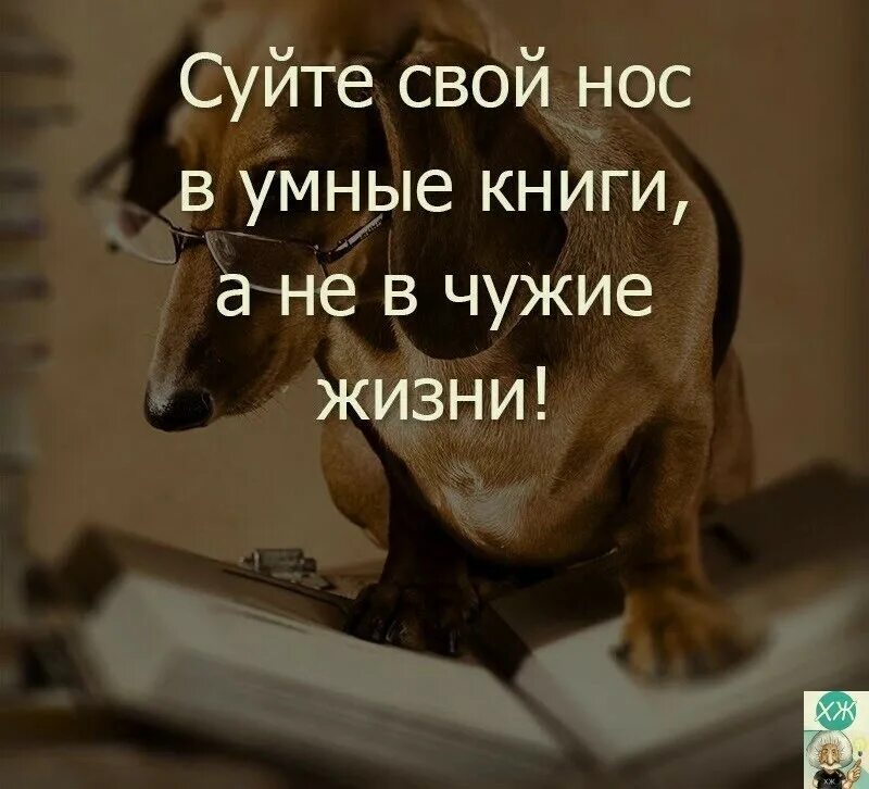 Смысл жить чужим умом. Суй свой нос в умные книжки. Суйте свой нос в умные. Суйте свой нос в умные книги. Не суйте нос в чужие жизни.