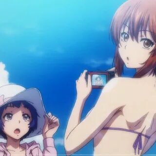 Animedia life