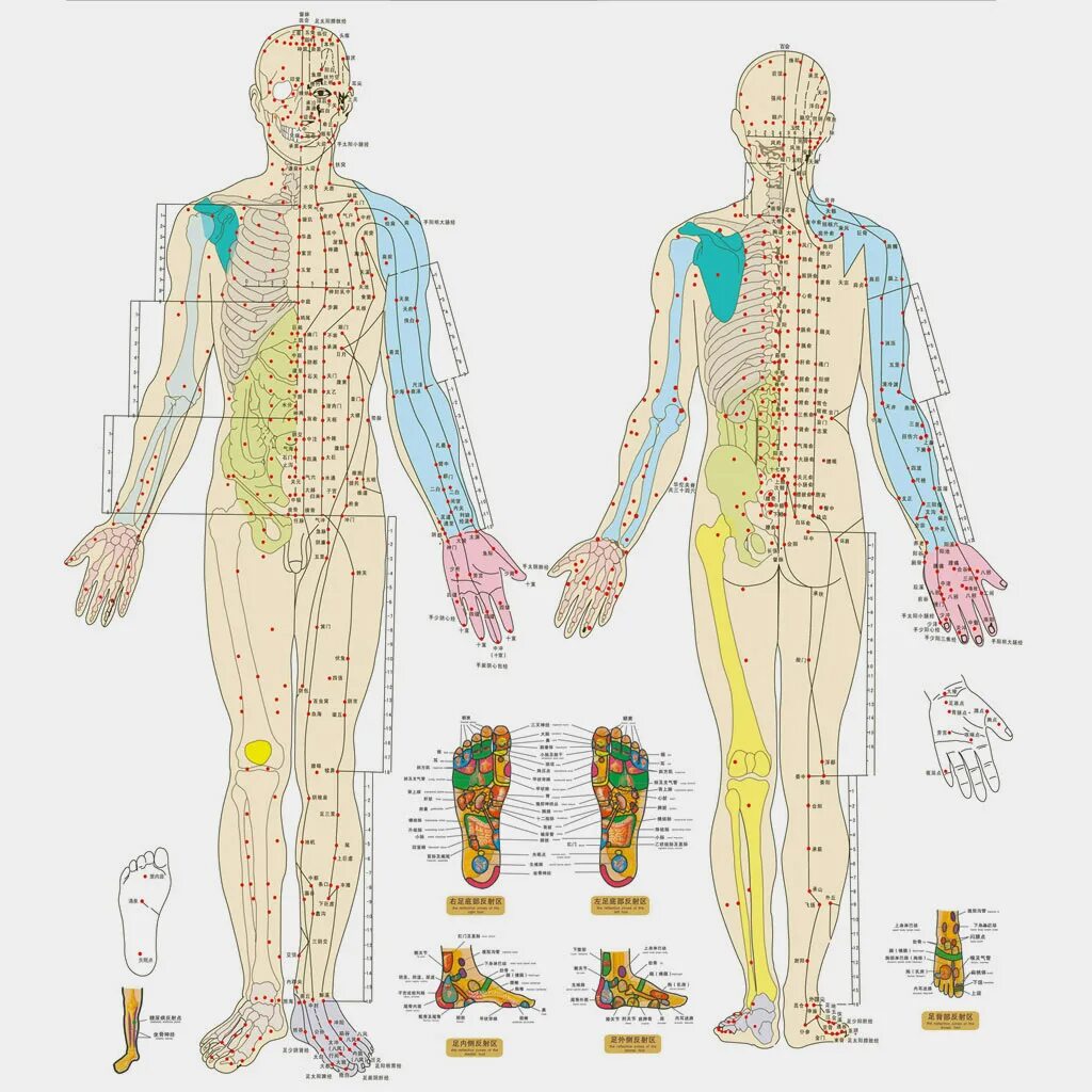 Меридианы человека китайская. Акупунктурные точки на теле человека китайская медицина. Меридианы на теле человека схема китайская медицина. Акупунктура меридианы тела человека. Акупунктурные точки и меридианы на теле человека.