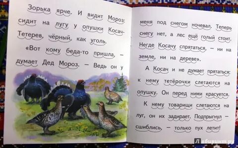 Бианки заяц косач медведь