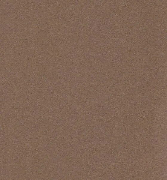 светлый кофе с молоком. оттенки бежевого цвета. светлый кофе с молоком. Arpa пластик 0225. светлый кофе с молоком.