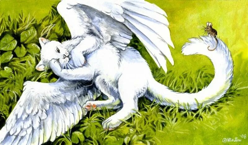Карта крылатый. Кот с крыльями. Мифические кошки с крыльями. Белый котик с крыльями. Белая кошка с крыльями арт.