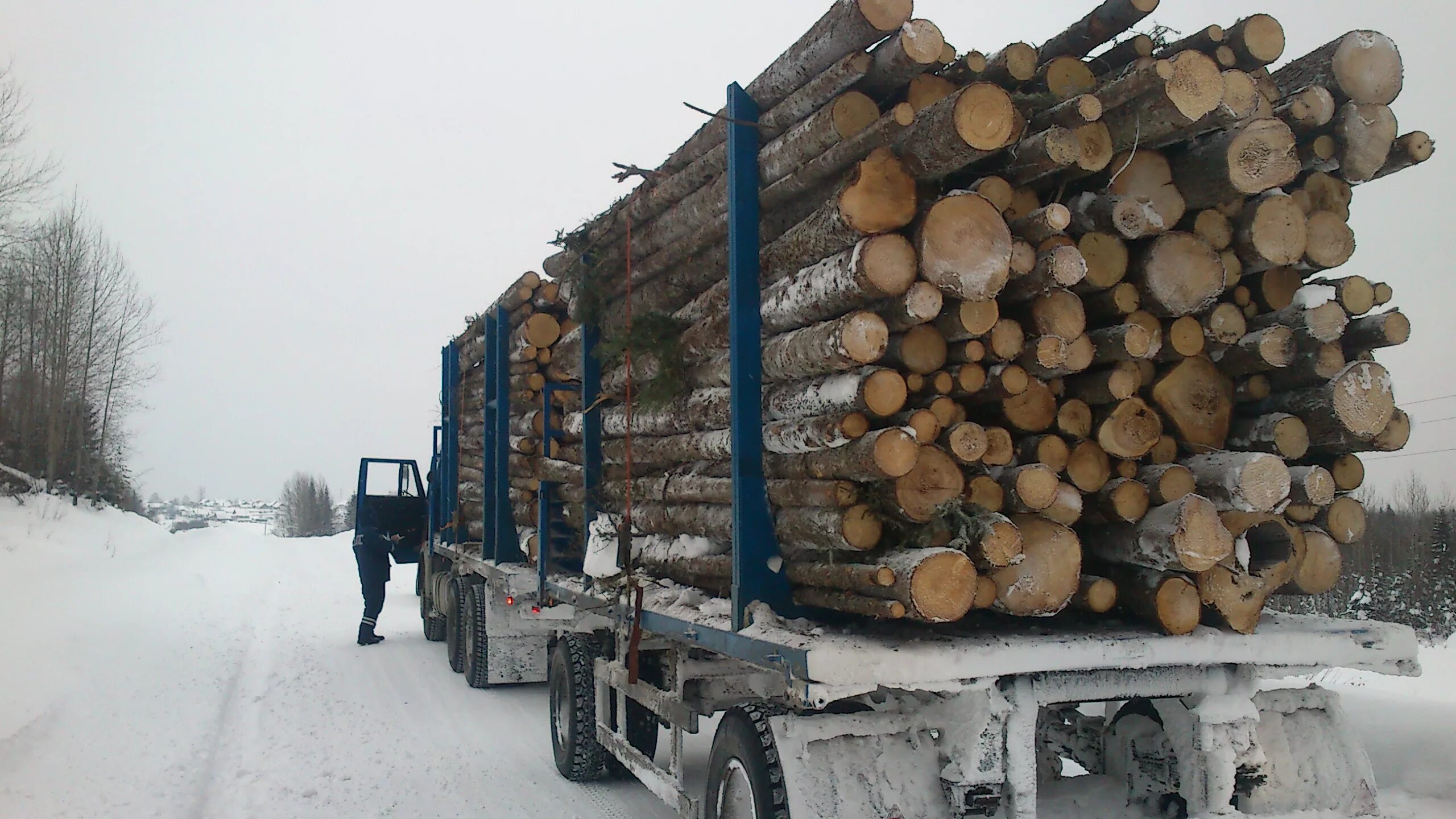 Лесовоз с дровами КАМАЗ. Операция лесовоз Удмуртия. КАМАЗ 5320 груженый лесом. Вывозка древесины.