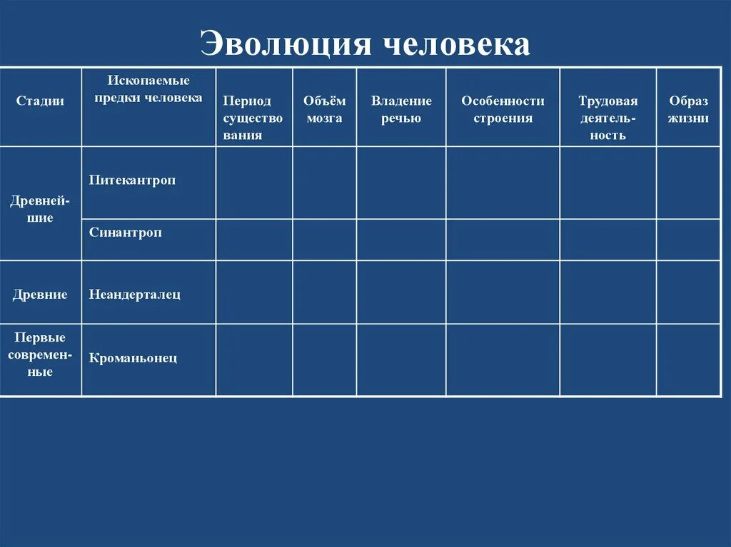 Основные этапы эволюции приматов. Стадии развития человека. особенности эволюции человека. основные этапы эволюции приматов таблица. эволюция приматов 9 класс биология.