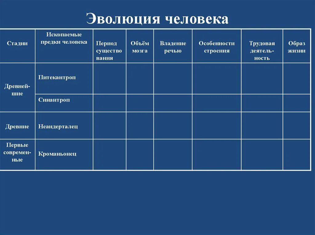 Эволюция приматов и этапы эволюции человека. Стадии развития человека. Эволюция приматов таблица. Эволюция приматов 9 класс биология таблица. Таблица по биологии этапы эволюции