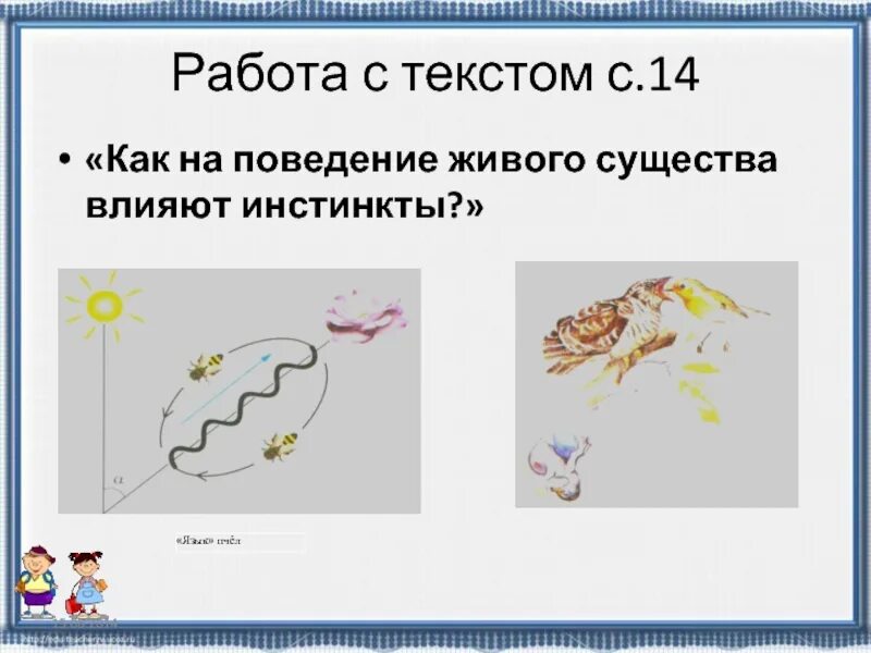 Как на поведение живого существа влияют инстинкты. Как на поведение животного влияют инстинкты. Как на поведение живого существа влияют инстинкты пчёлы. Как на поведение пчел влияют инстинкты.