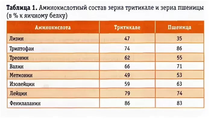 Пшеница сколько белков. Тритикале состав зерна. Состав зерна пшеницы таблица. Тритикале кормовая ценность. Химический состав зерна пшеницы таблица.