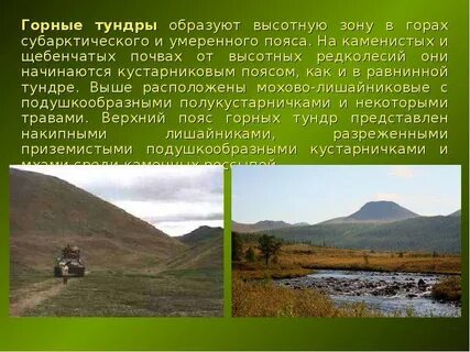 Почему полоса тундры на русской равнине узкая