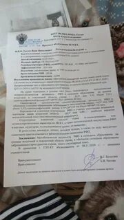 Заключение кт 1