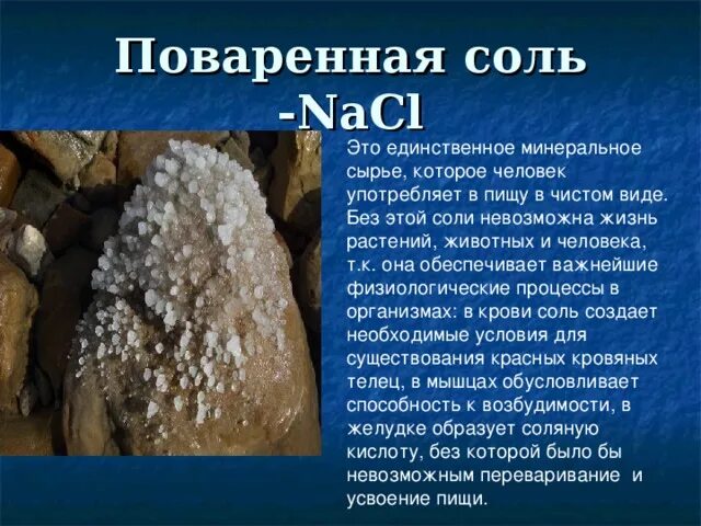 Вещество содержащее в соли. Доклад про соль. Доклад о поваренной соли. Соль для презентации. Соль в природе.