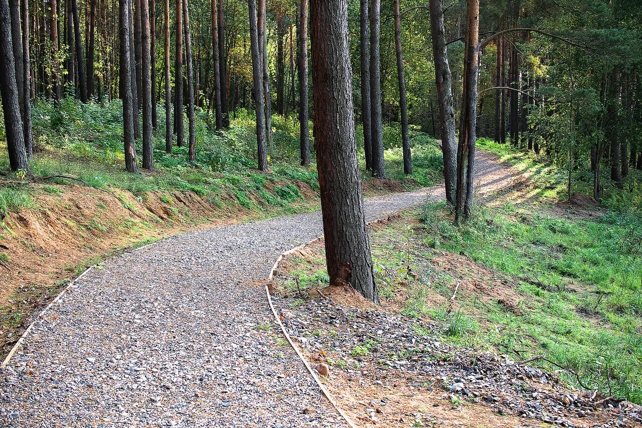 Парк в зеленой зоне Великие Луки. Парк без границ Великие Луки. Новый парк в великих Луках. Луки парк Великие Луки. Луки парк сайт