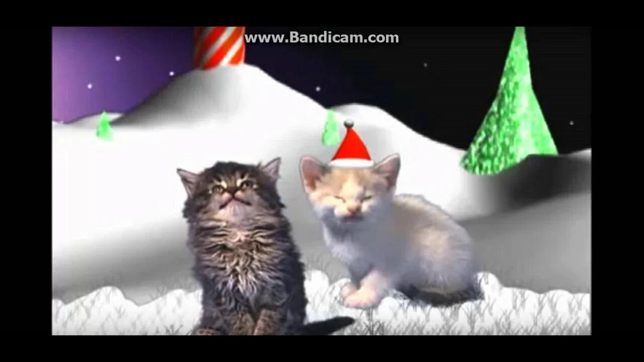 Включи видео песни кота. Песенки котэ ютуб. Sola Love Jingle Cat.