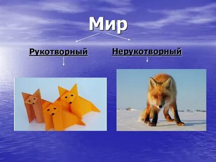 Мир натуральных