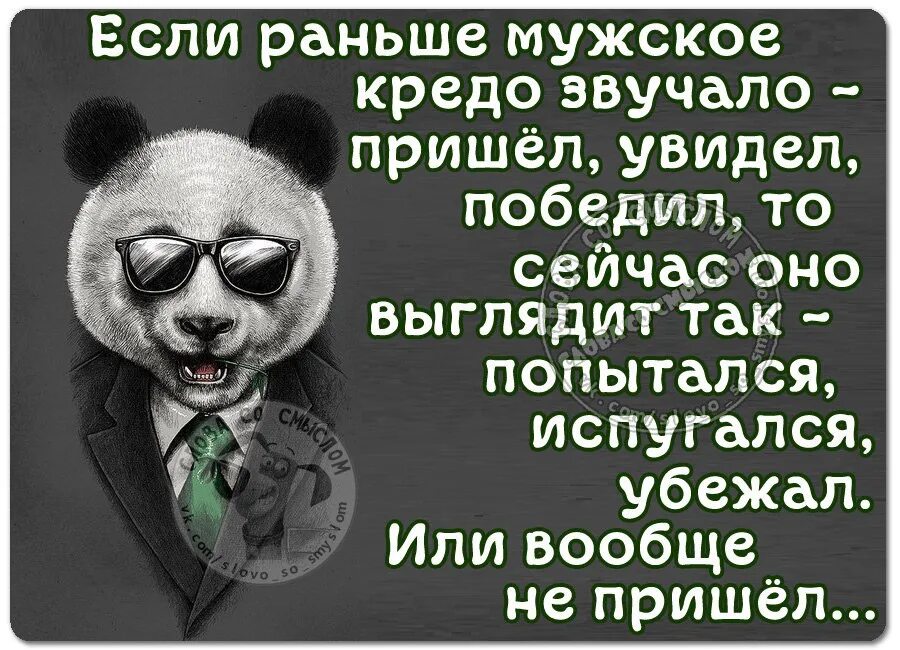 Раньше мужчина пришел увидел победил а сейчас испугался. Девиз мужчин звучал раньше. Раньше у мужчин был девиз пришел увидел победил а сейчас. Раньше у мужчин был девиз. Пришел увидел получил