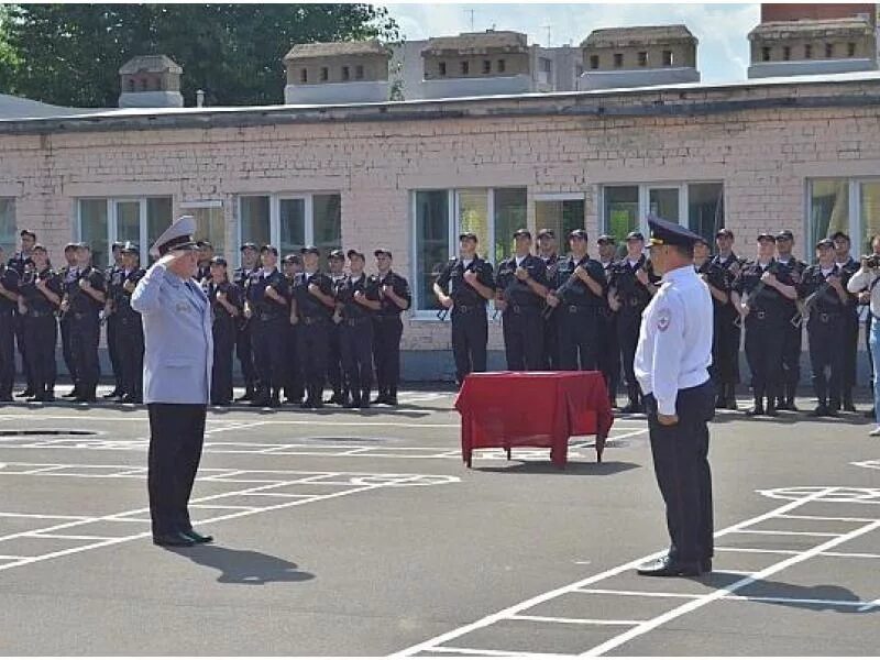 Сын круга воробьев. Сын круга Капитан полиции.