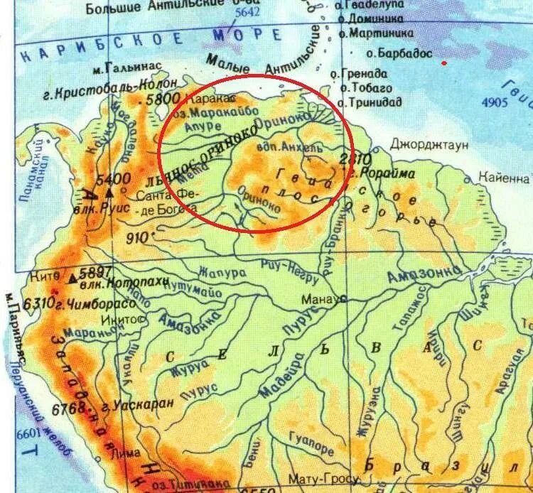 Бассейн реки Ориноко на карте Южной Америки. Река Ориноко на карте на карте. Река Ориноко на карте. Река Каука на карте Южной Америки. Направление реки ориноко