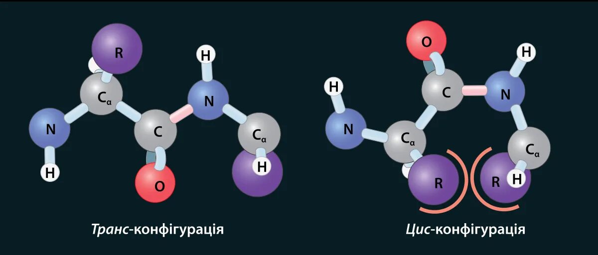 Гли-ала-фен трипептид. Структура трипептида гли-лей-три. Формула пептида цис глн. Вал фен лей трипептид. Образование трипептида гли-ала-мет.
