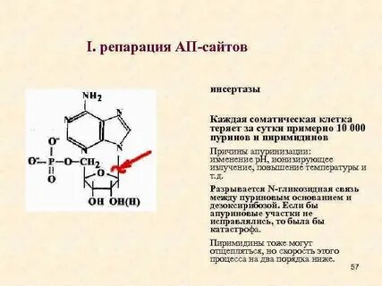 Репатриация репарация