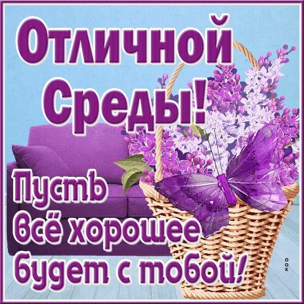 Классной среды. Прекрасной среды. классной среды прикольные. среда прекрасный день.