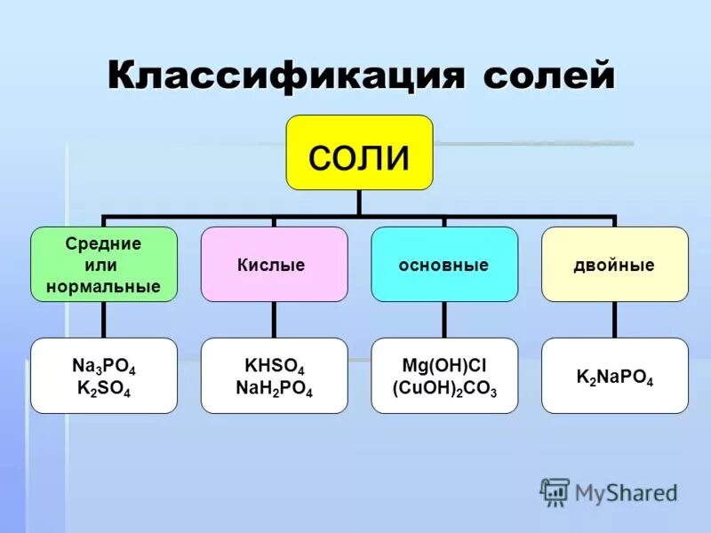 На четыре основные группы