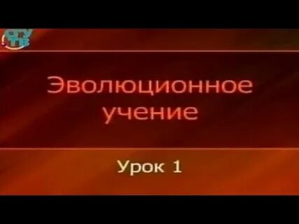 Эволюция видеоурок 11 класс