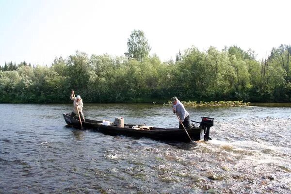 Великий порог. Пижма река Архангельская область. Река пижма Коми. Мезенская пижма река порог Великий.