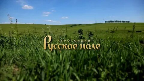 Именное поле