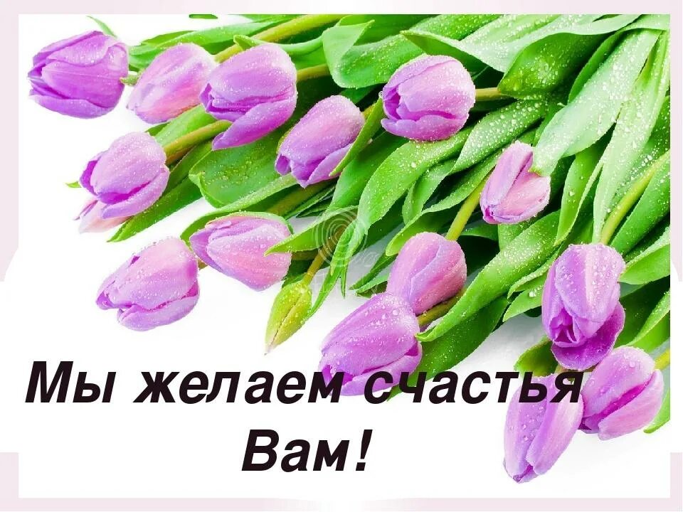 Песня мы жидаем счастье вам. Желаю вам счастья. Текст мы желаем счастья вам текст. Стикеры пожелание добра. Песни с пожеланиями счастья.