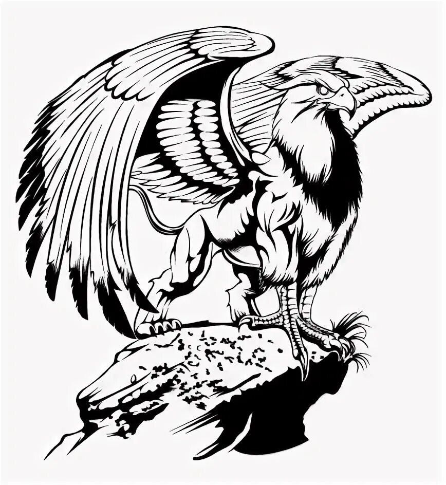 Грифон расписание. Грифон расписание. Грифон тату эскизы. Грифон расписание. Грифон в искусстве.