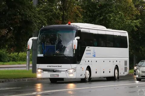 167 автобус спб