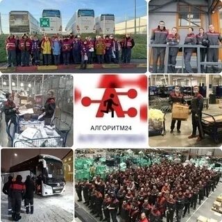 Company 24