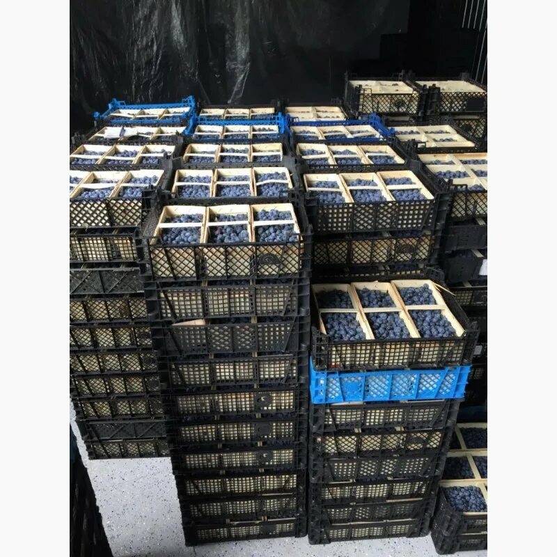 Мурманская беломорка рыба. Свежая охлажденная рыба. Продам свежую. Копченая рыба чебак. С рыбой вас.