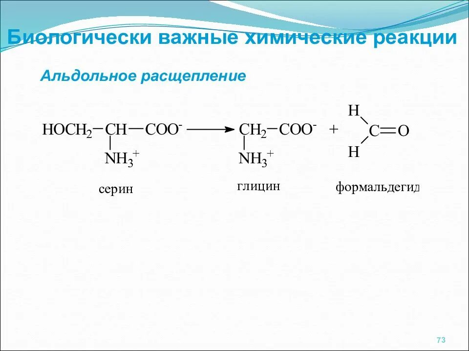 Альдольное расщепление аминокислот. Схема реакции взаимодействия глицина с формальдегидом. Реакция взаимодействия глицина с формальдегидом. Реакция глицина с формальдегидом. Напишите реакцию глицина