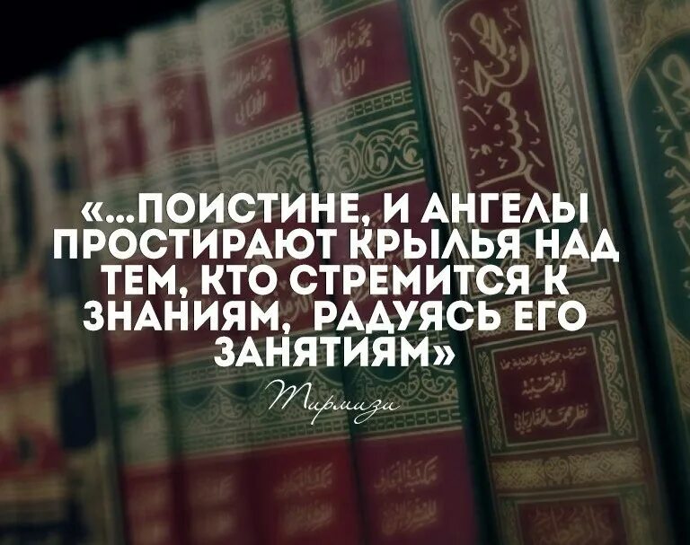 Мусульманские знания. Хадисы про знания. Знания в Исламе. Про знания цитаты в Исламе.