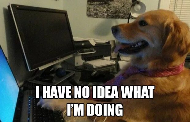 Idea of what was going. No idea фильм. What the Dog doing. What is the Dog doing. What a doing Мем.