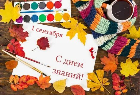 Осень раскрасила яркими красками