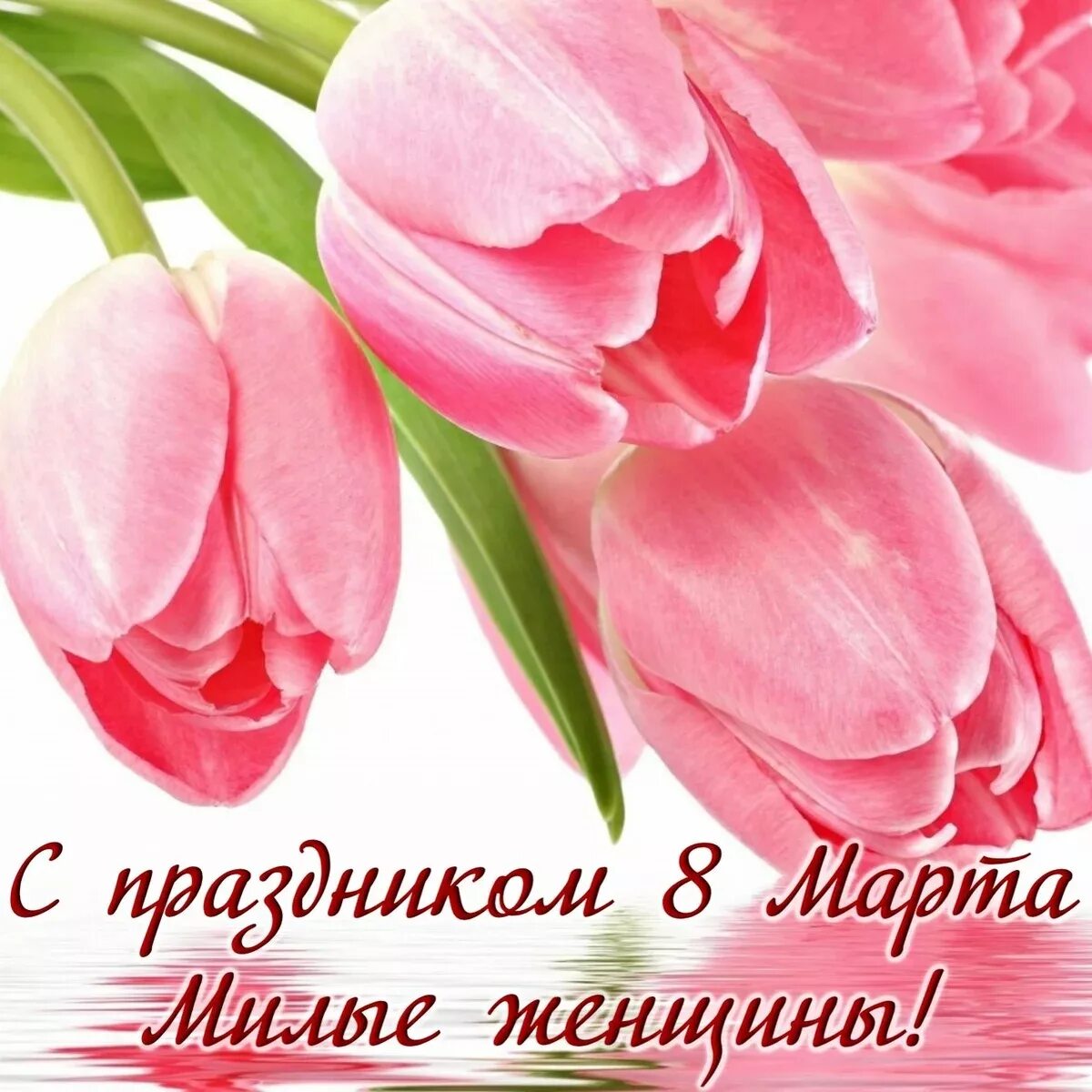Поздравляем с наступающим международным женским днем. Поздравляем с праздником тюльпаны.