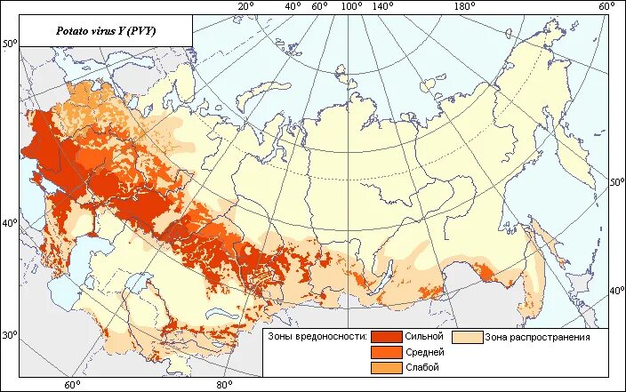 районы производства картофеля. картофель презентация. районы выращивания свеклы. районы выращивания картофеля. сорта картофеля инфографика.